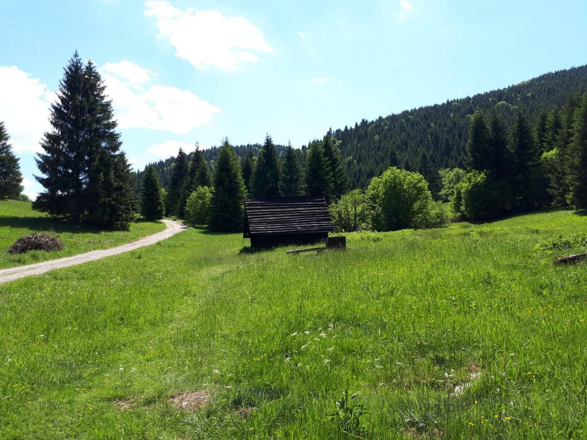 Appartamento Hrabovo Barbora 19 Ruzomberok Esterno foto